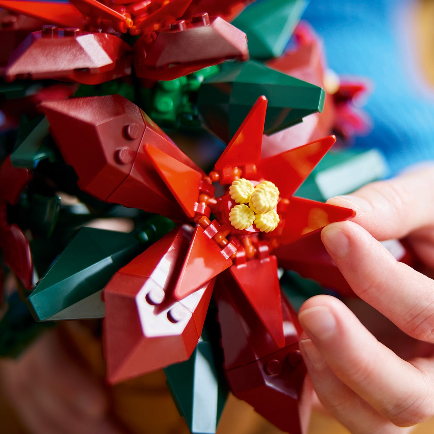 LEGO Poinsettia 10370 Icons