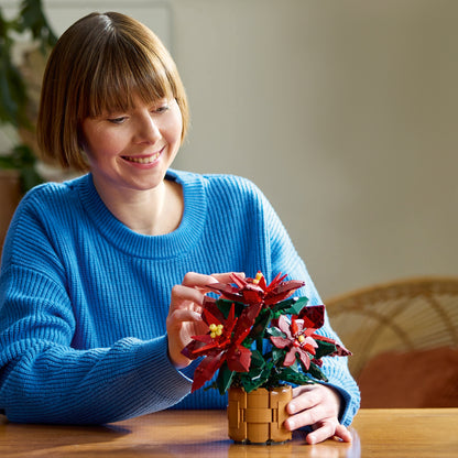 LEGO Poinsettia 10370 Icons