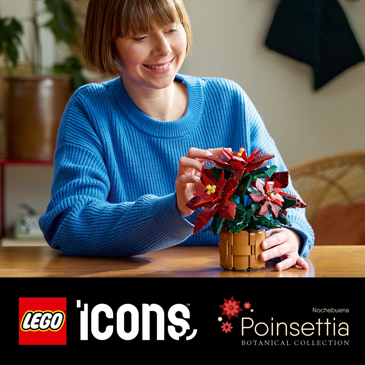 LEGO Christmas Star 10370 Icons