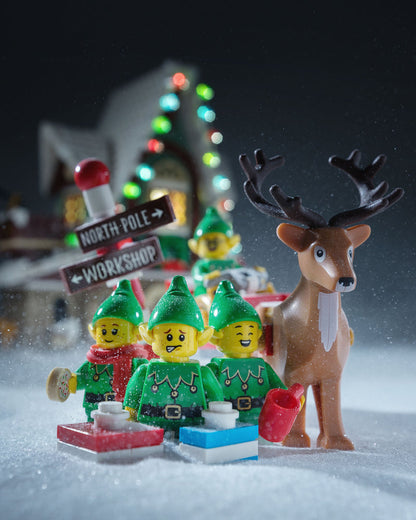 LEGO Santa's Visit 10293 Creator Expert