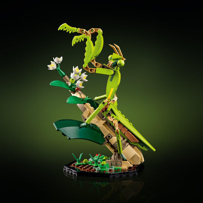 LEGO Insect collection 21342 Ideas LEGO IDEAS @ 2TTOYS | Official LEGO shop😊🥰 LEGO €. 84.99