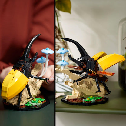 LEGO Insect collection 21342 Ideas LEGO IDEAS @ 2TTOYS | Official LEGO shop😊🥰 LEGO €. 84.99