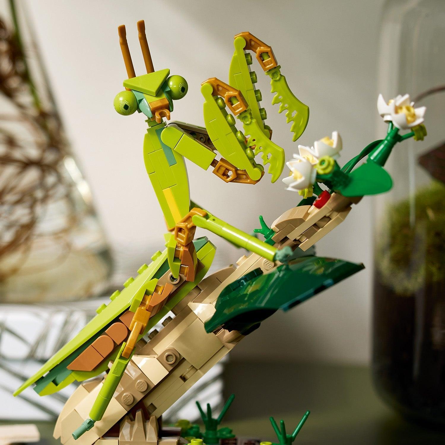 LEGO Insect collection 21342 Ideas LEGO IDEAS @ 2TTOYS | Official LEGO shop😊🥰 LEGO €. 84.99