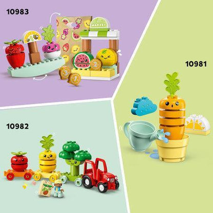 LEGO Organic Garden 10984 DUPLO LEGO DUPLO @ 2TTOYS | Official LEGO shop😊🥰 LEGO €. 44.99