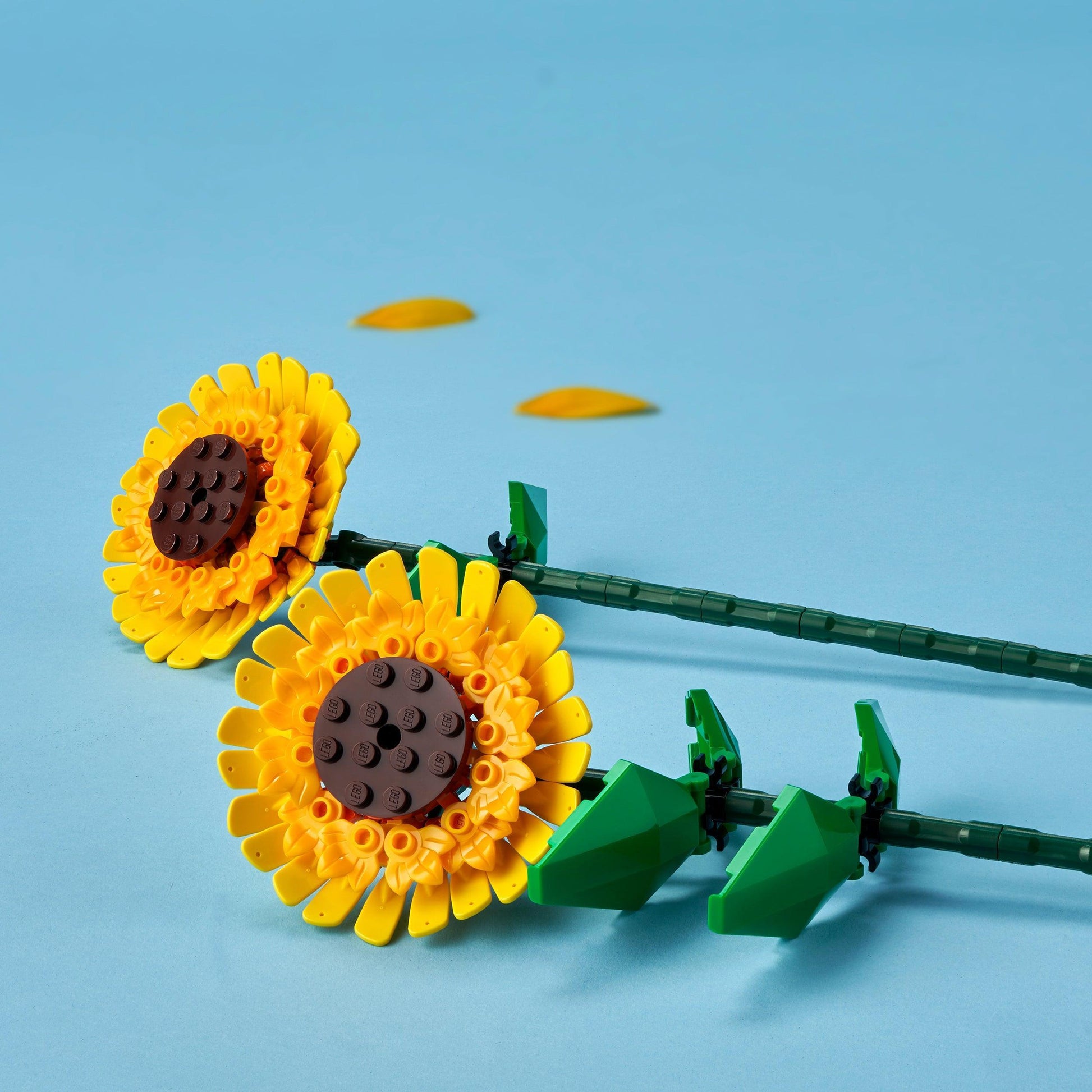 LEGO Sunflowers 40524 Creator LEGO CREATOR EXPERT BOTANISCHE COLLECTIE @ 2TTOYS | Official LEGO shop😊🥰 LEGO €. 14.99